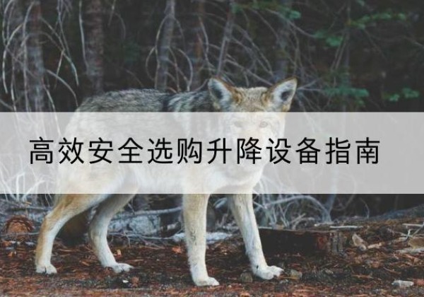 布拖升降货梯厂家推荐-*安全选购升降设备指南