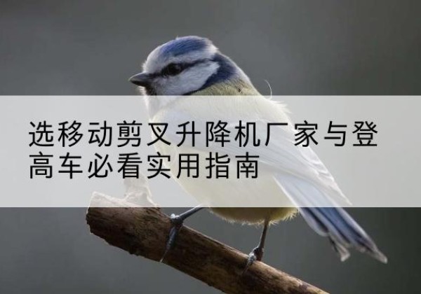 布拖电动升降机厂家-选移动剪叉升降机厂家与登高车必看实用指南