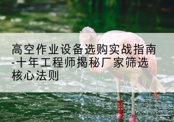 布拖剪叉式升降机厂家-高空作业设备选购实战指南-十年工程师揭秘厂家筛选核心法则